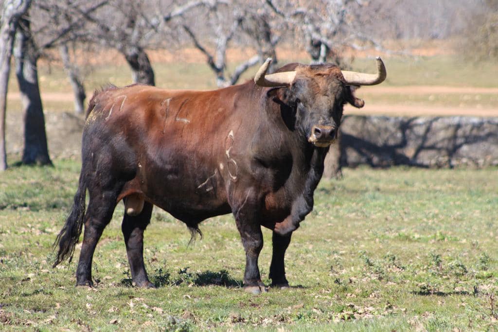 Finalizado el Carnaval 2024