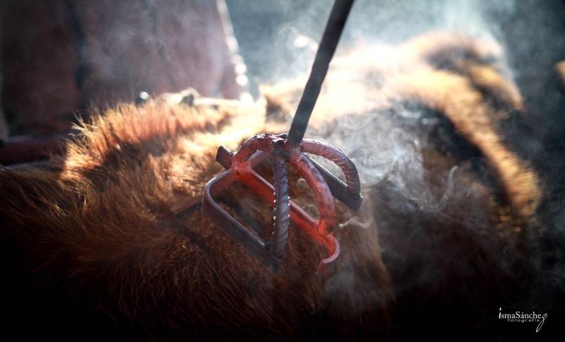 Mujer sonriente con decoración tradicional